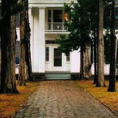Rowan Oak