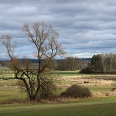 Přírodní park Turovecký les