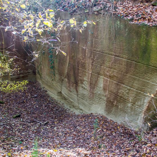 Frankfurter Brüche von Rödelsee