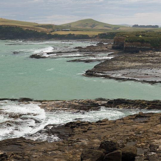 Curio Bay