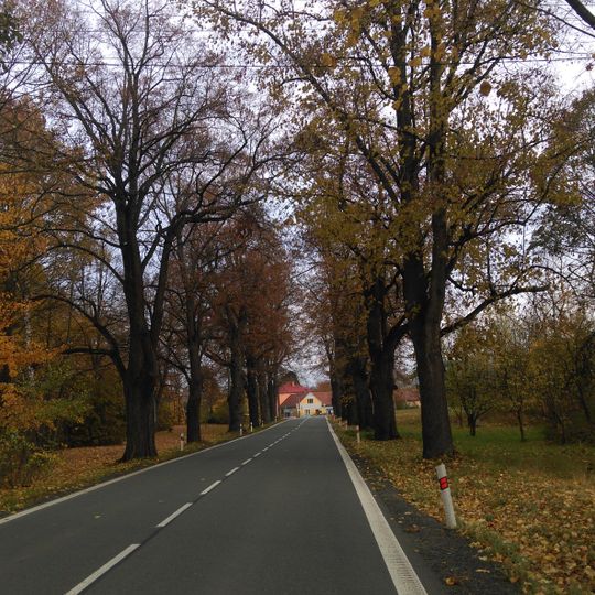 Lipová alej v Komárně