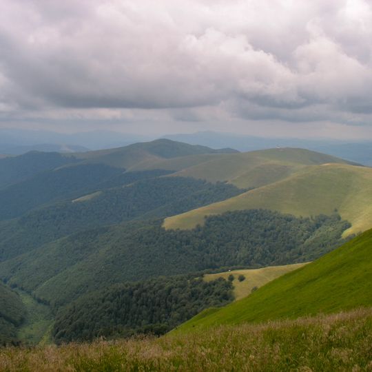 Березниківські праліси