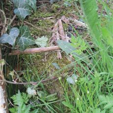 Milestone, roadside at SJ51162822