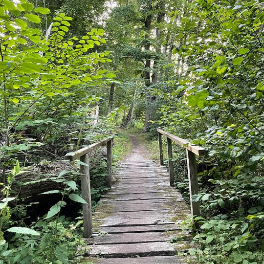 Waldbad Bienenbüttel