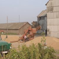 Малиновка (Кстовський район)