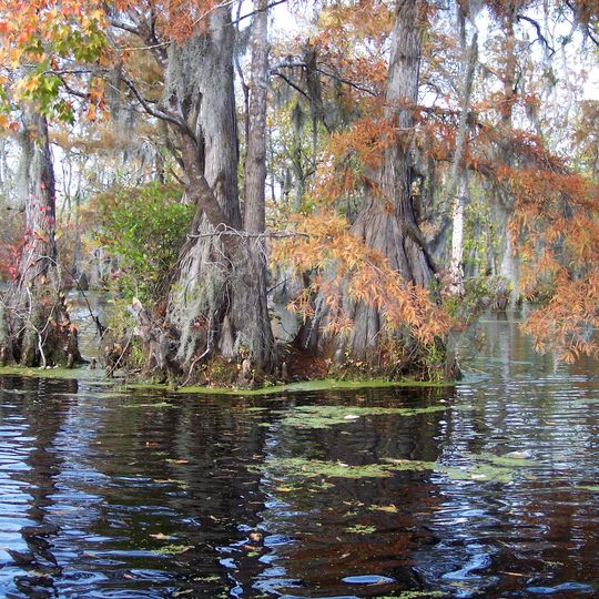 Merchants Millpond State Park