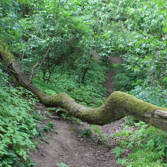 Falkenberg und Geißberg bei Flörsheim