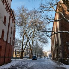 Naturdenkmal sieben Platanen Collegienstraße, Schulstraße in Frankfurt
