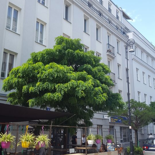 11 Poznańska Street in Warsaw