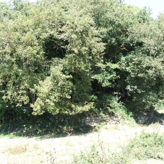 Poua del Molí del Bosc