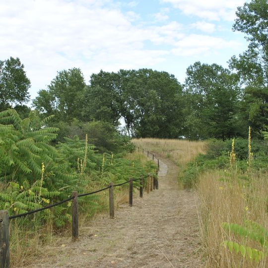 Dune di Massenzatica