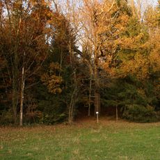 Monument naturel Chêne pédonculé