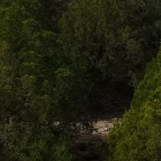 Colorado Bend State Park