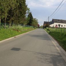 Hoogbos