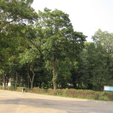 Manor park in Rozogi