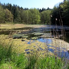 Hütter Klosterteiche