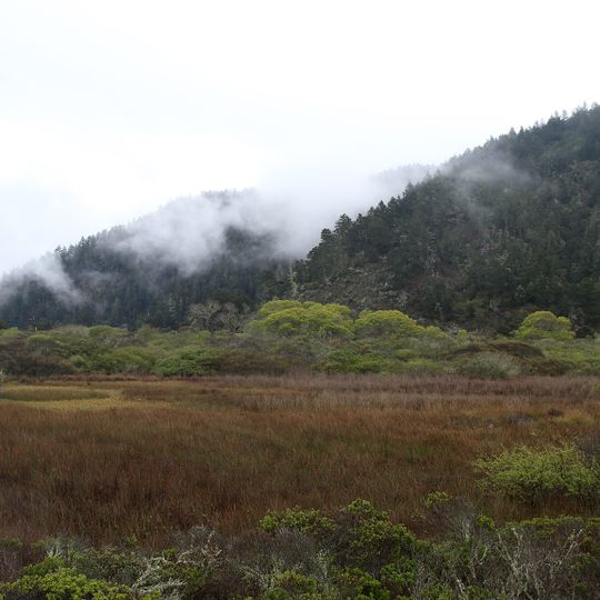 Theodore J. Hoover Natural Preserve