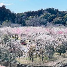 偕樂園