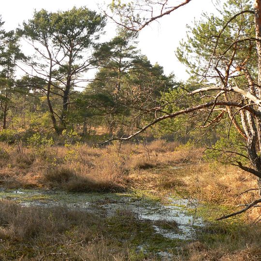 Otternhagener Moor