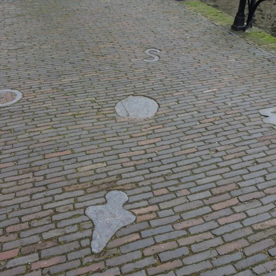 Windroos in het plaveisel