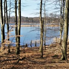 Schweingartensee