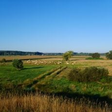 Untere Pulsnitzniederung