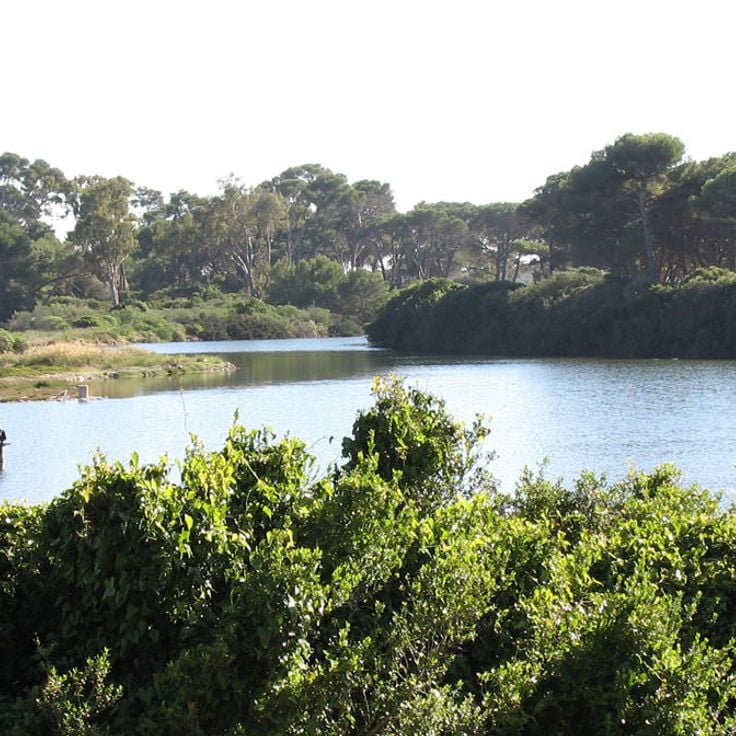 Sainte Marguerite Island