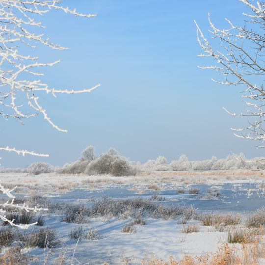 Wümmewiesen bei Fischerhude