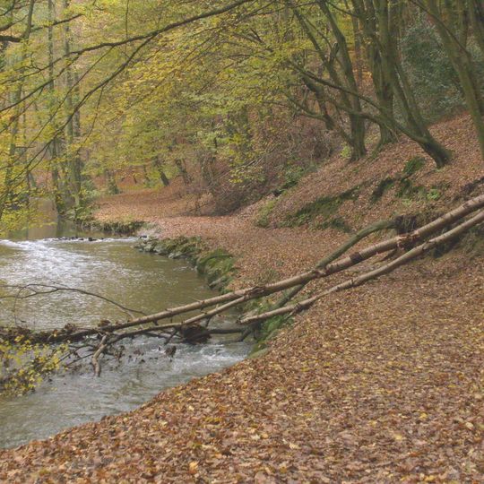 Westliches Neandertal