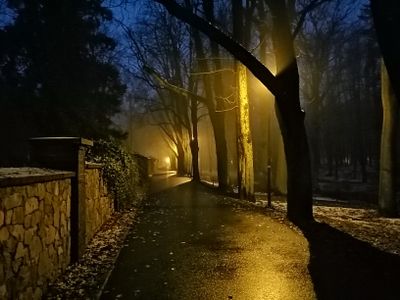 Nocą 1
