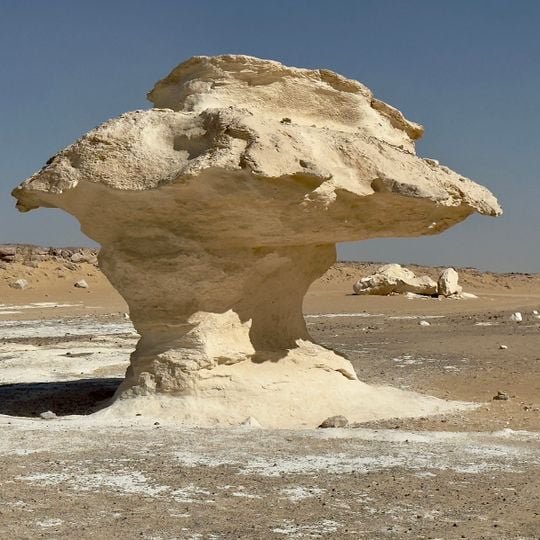 Rock Mushroom
