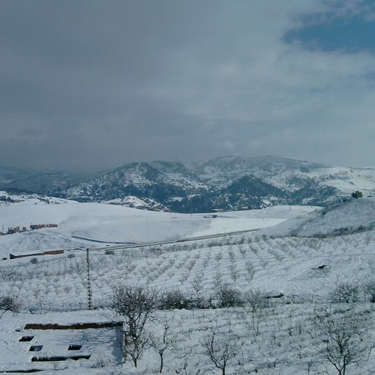 Provincia de Médéa