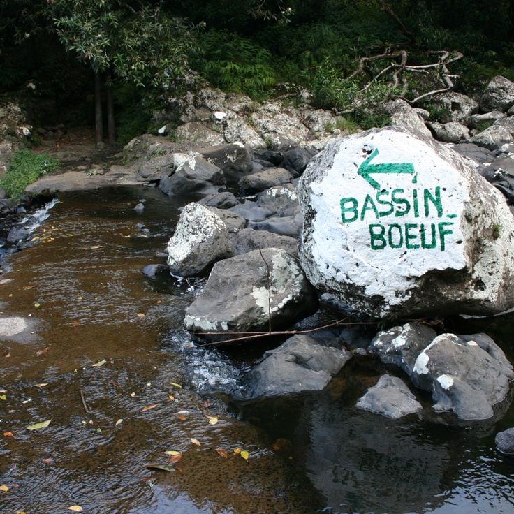 Bassin Boeuf