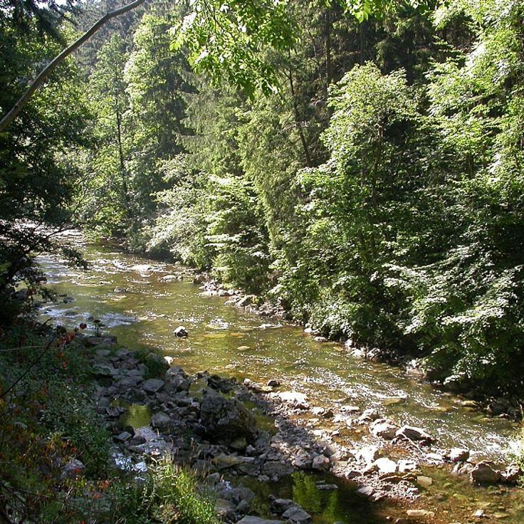 Garganta do rio Wutach