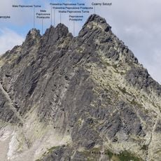 Pośrednia Papirusowa Turnia