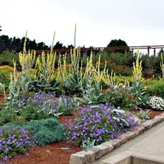 Humboldt Botanical Gardens