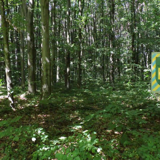 Buchyna Forestry Preserve