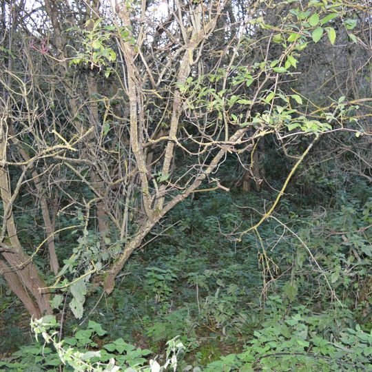 Castle Lime Works Quarry