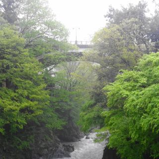 Hikawa Bridge