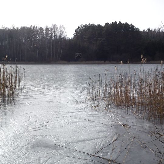 Rezerwat przyrody Jezioro Pławno