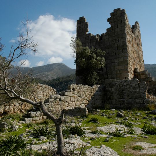 Aigosthena