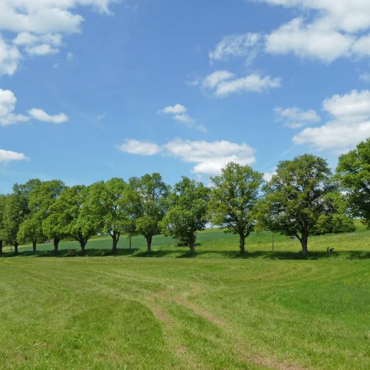 Lindenallee im Tiefenbachtal