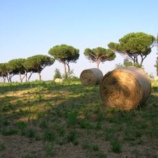 Parco naturale di Veio