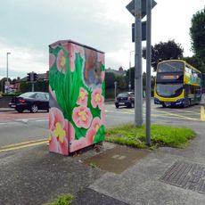 Peeping from the Primulas