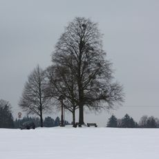 2 Linden mit Kreuz