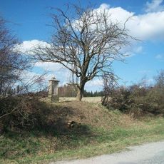 Kříž východně od Olešovic na svahu