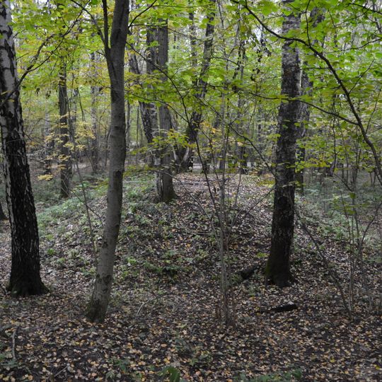 1-st Burial Mound in Konkovo
