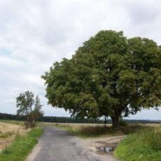 Kříž západně od Dobřejic