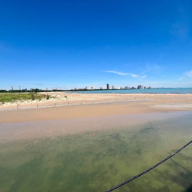 Montrose Beach Dune Habitat