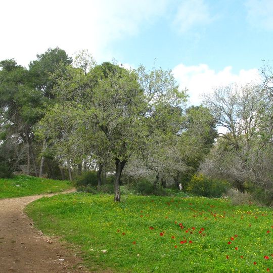Alonei Abba nature reserve